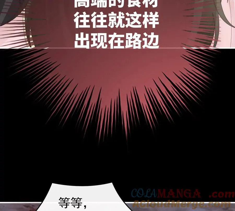 133 小猪娃33