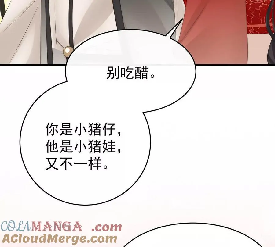 132 你究竟有几只猪？100