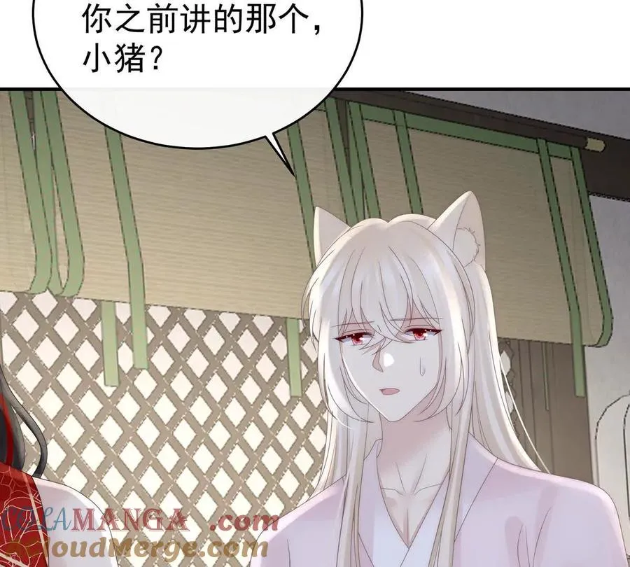 132 你究竟有几只猪？88