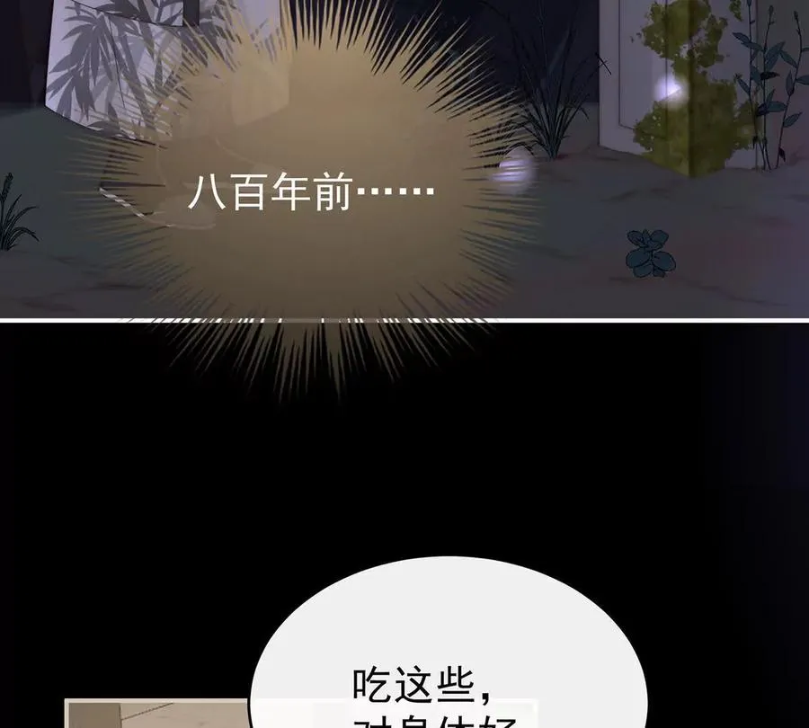 132 你究竟有几只猪？10