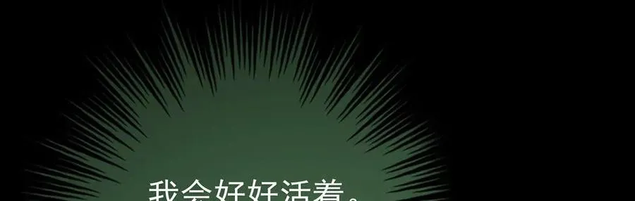 133 小猪娃80