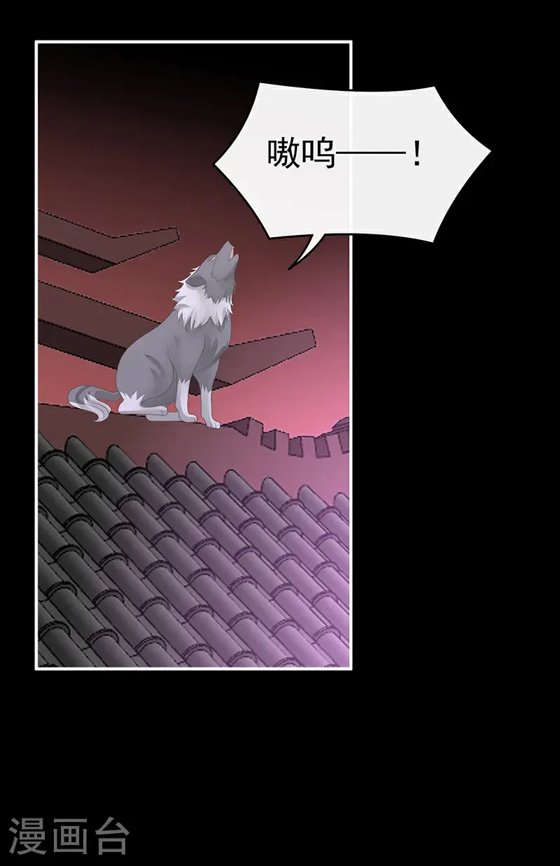 第117话 狼崽长大了！21