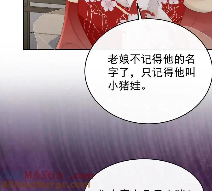 132 你究竟有几只猪？96