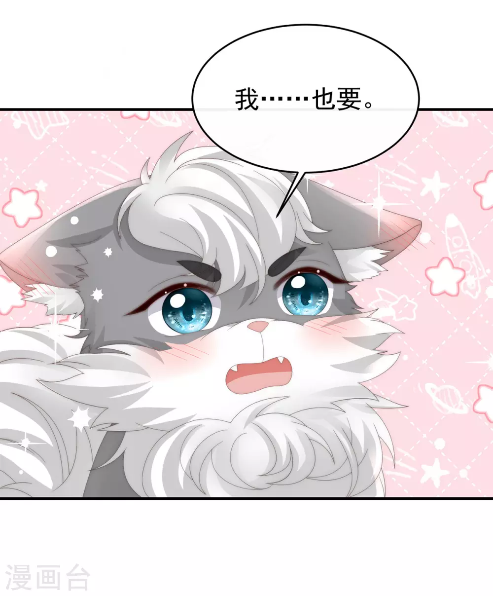 第85话 小动物也争宠？4