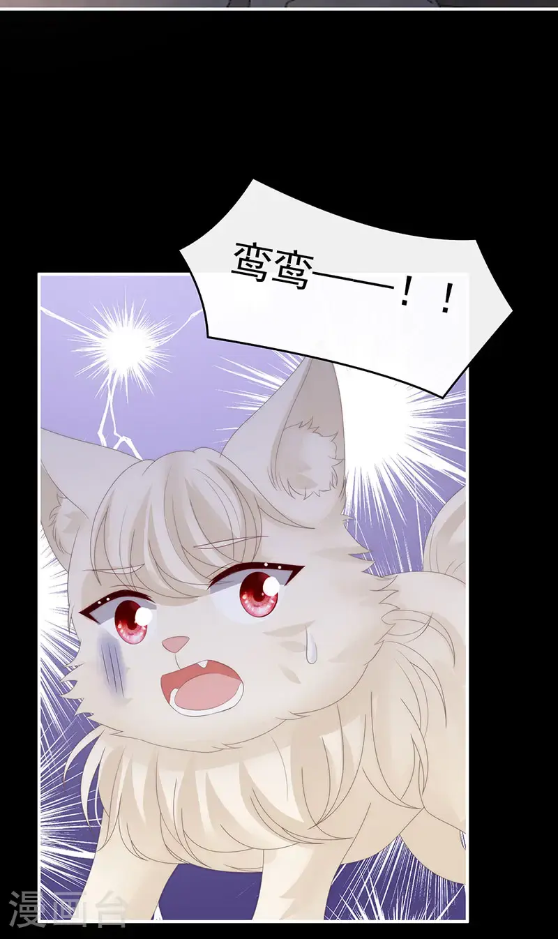 第115话 最珍贵的血族32