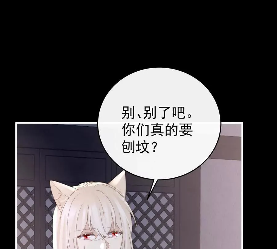 133 小猪娃115