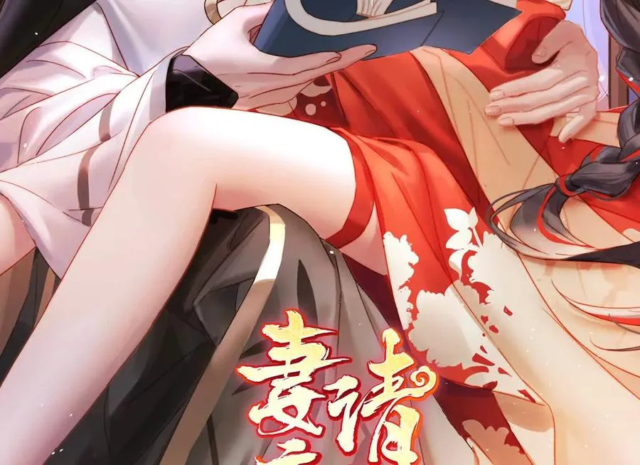 133 小猪娃1