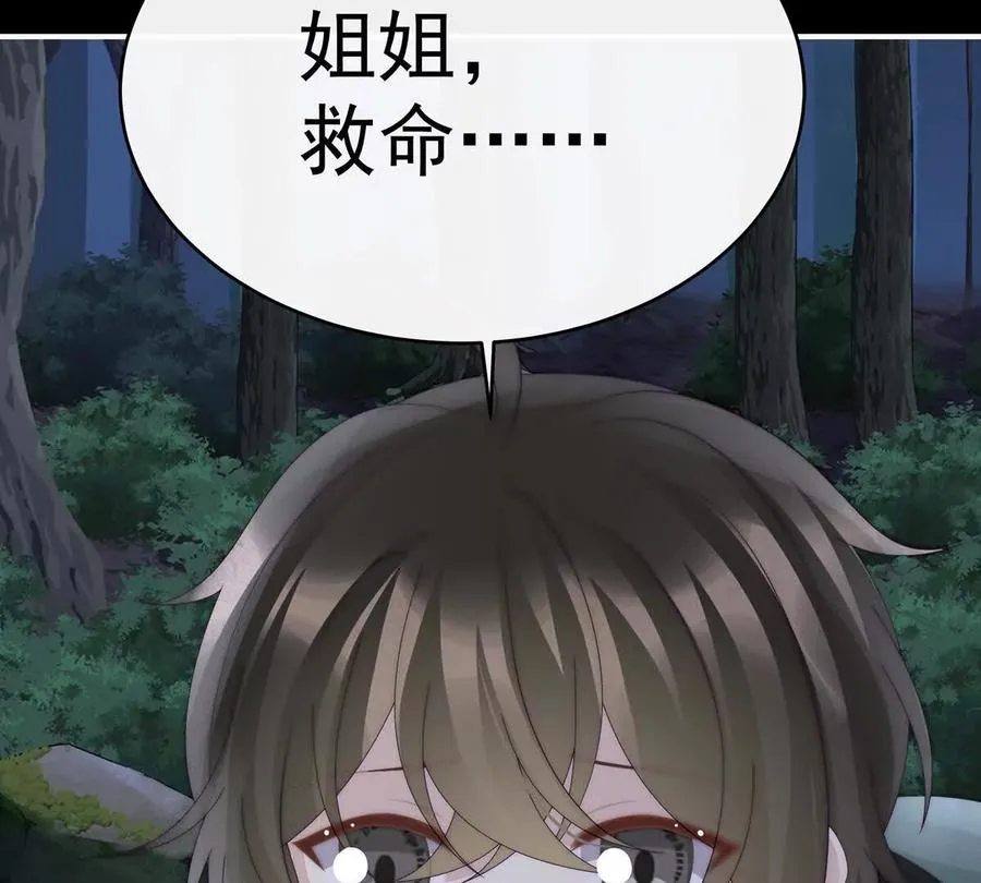 133 小猪娃19