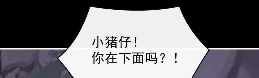 132 你究竟有几只猪？27