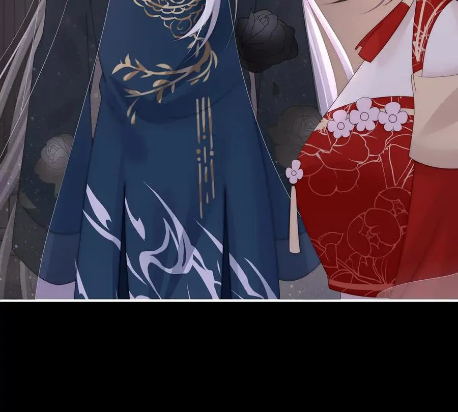 133 小猪娃123