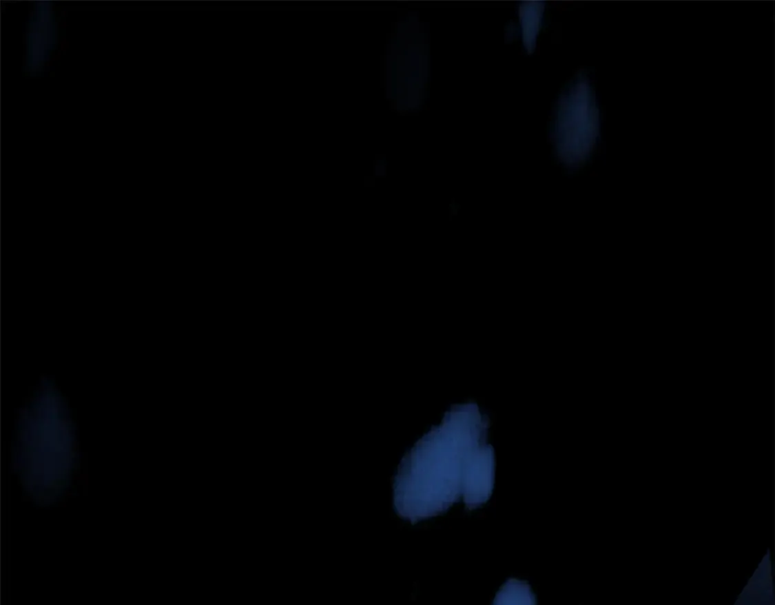 172 坦诚4