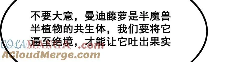 第420话 曼迪藤萝花84