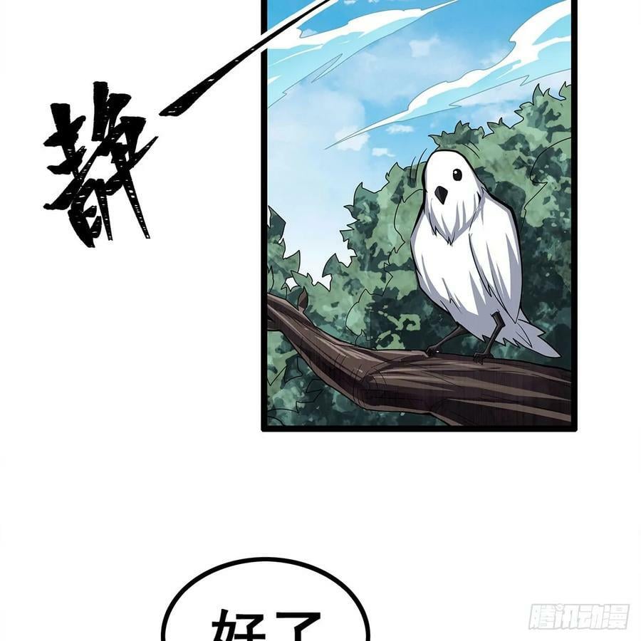 第335话 钓鱼执法77