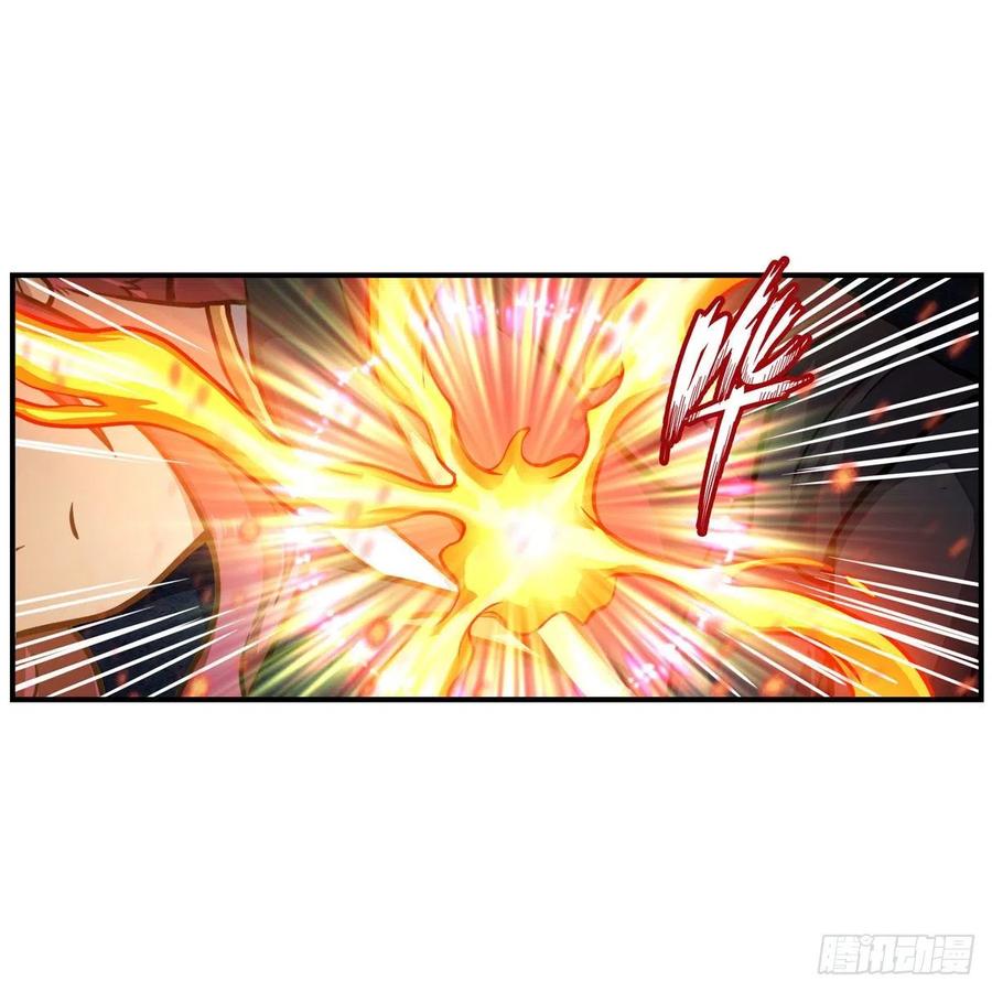 第204话 护身灵兽14