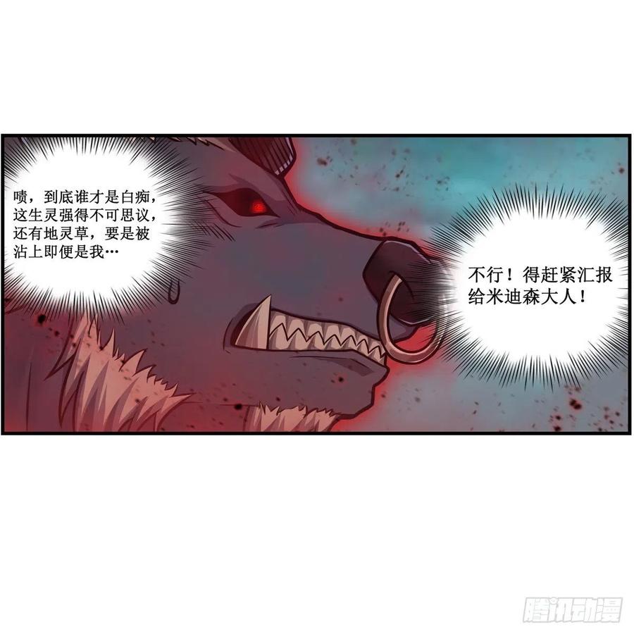第213话 地灵草5