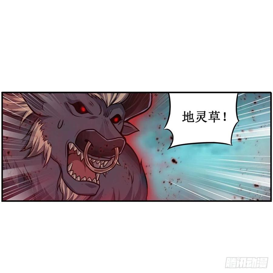 第213话 地灵草1