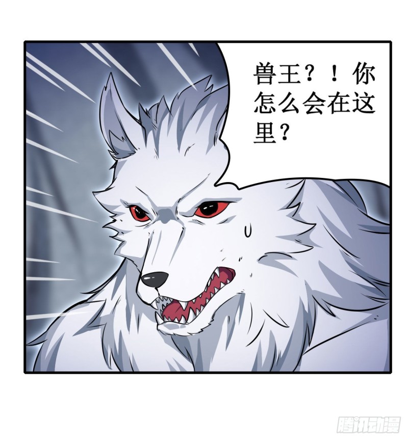 第103话 激昂金狮7