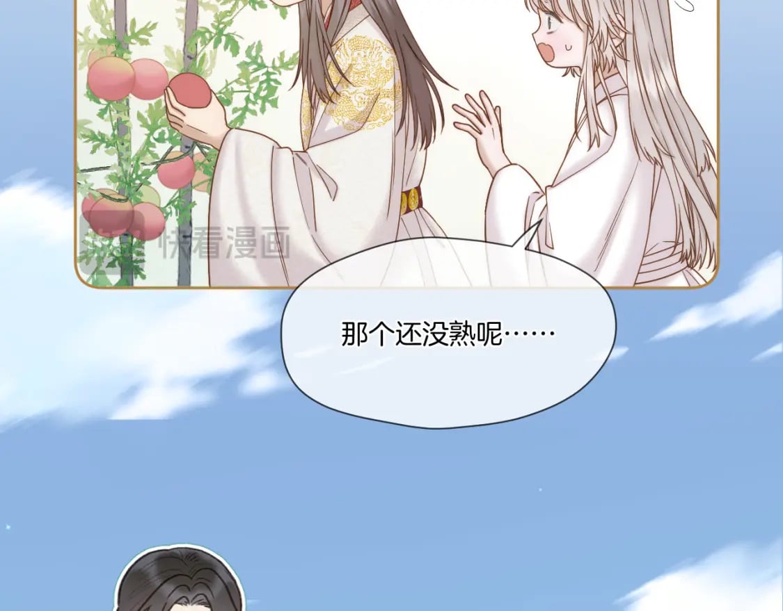 第41话 人气排名14