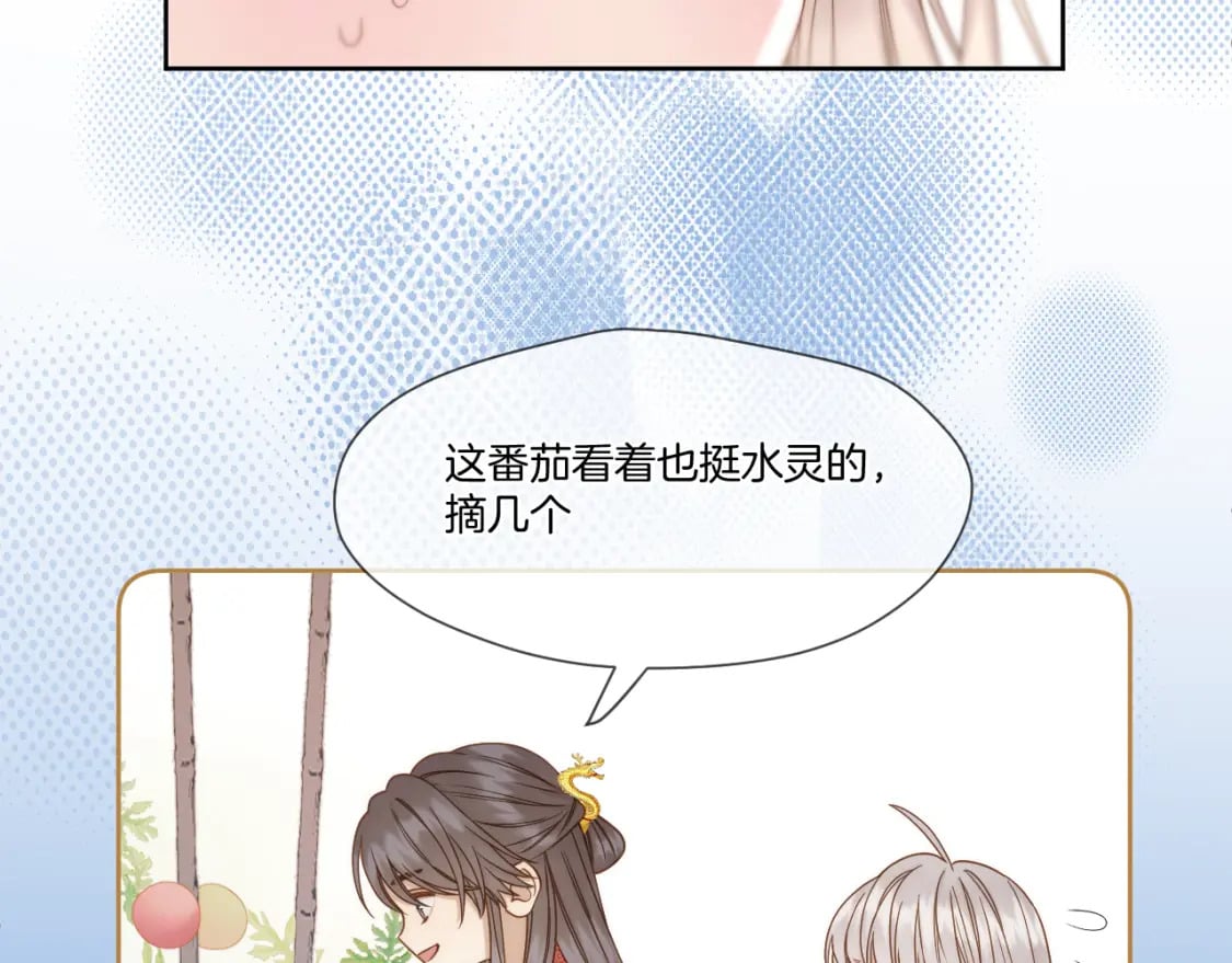 第41话 人气排名13