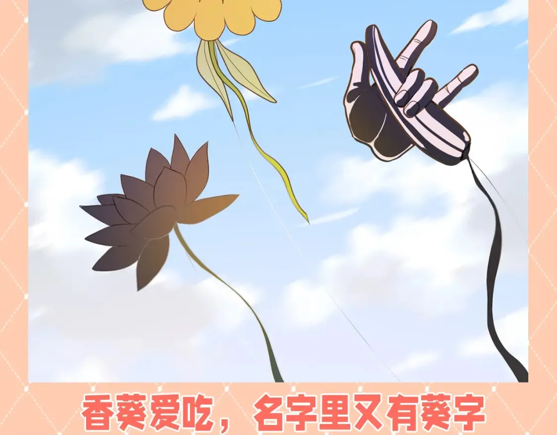 第38期 整活企划：后宫风筝大赏！2