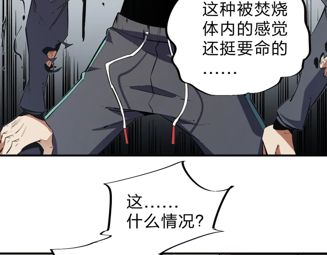 第45话 火焰质变，幽冥魔焰！80