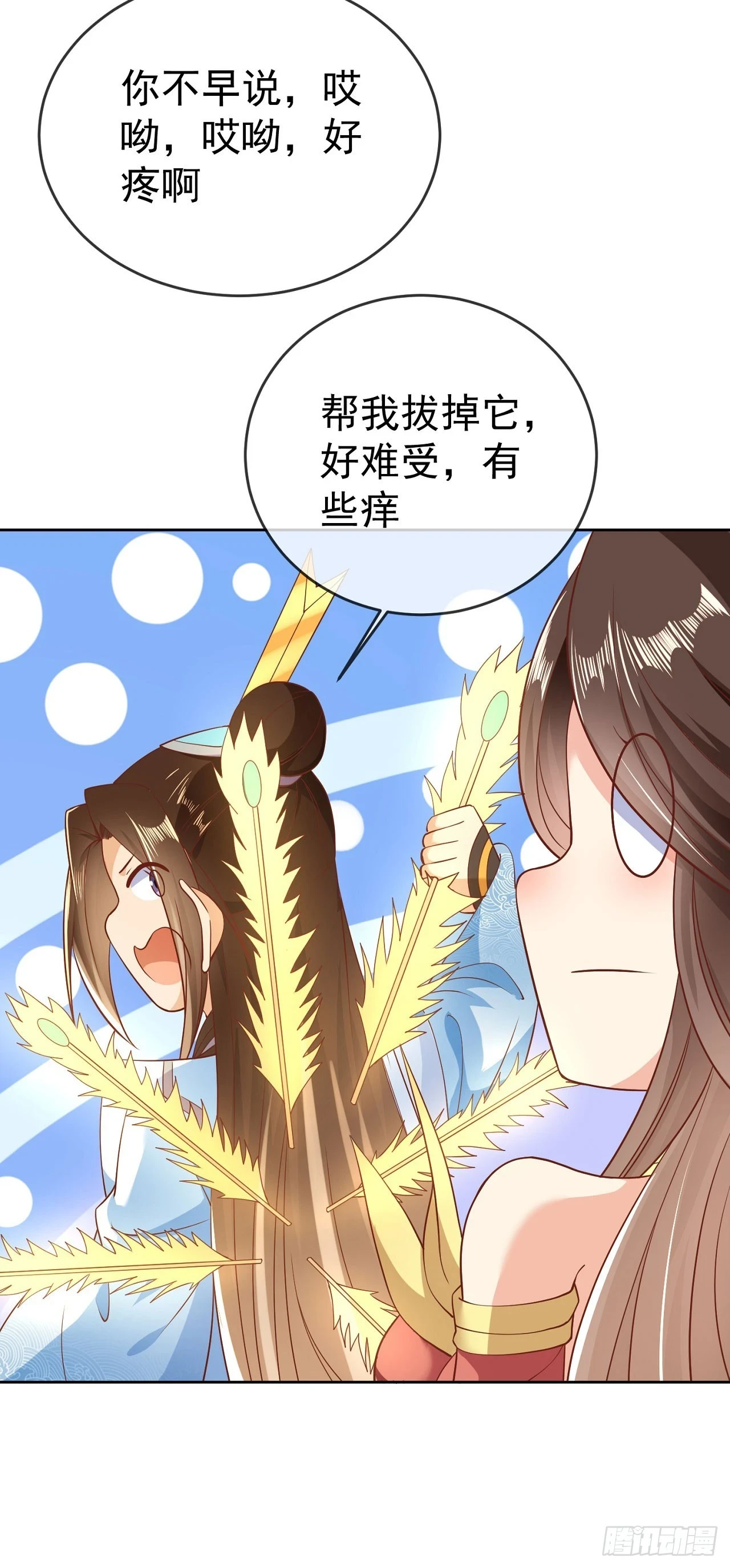 64 凤凰于飞20