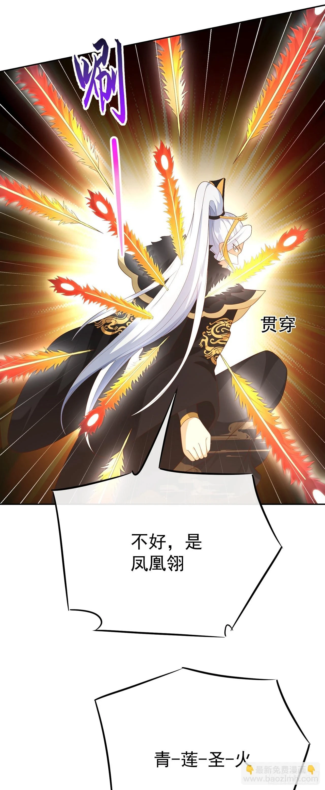 68好多美女6