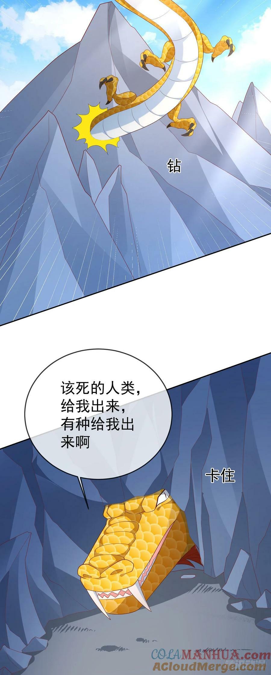 76 五爪金龙18