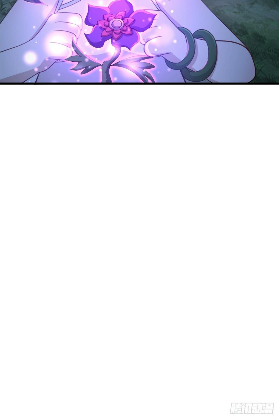 6732