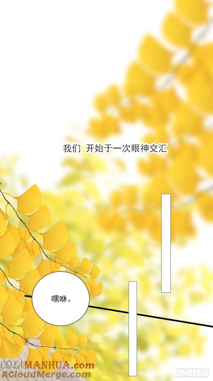 一眼万年6