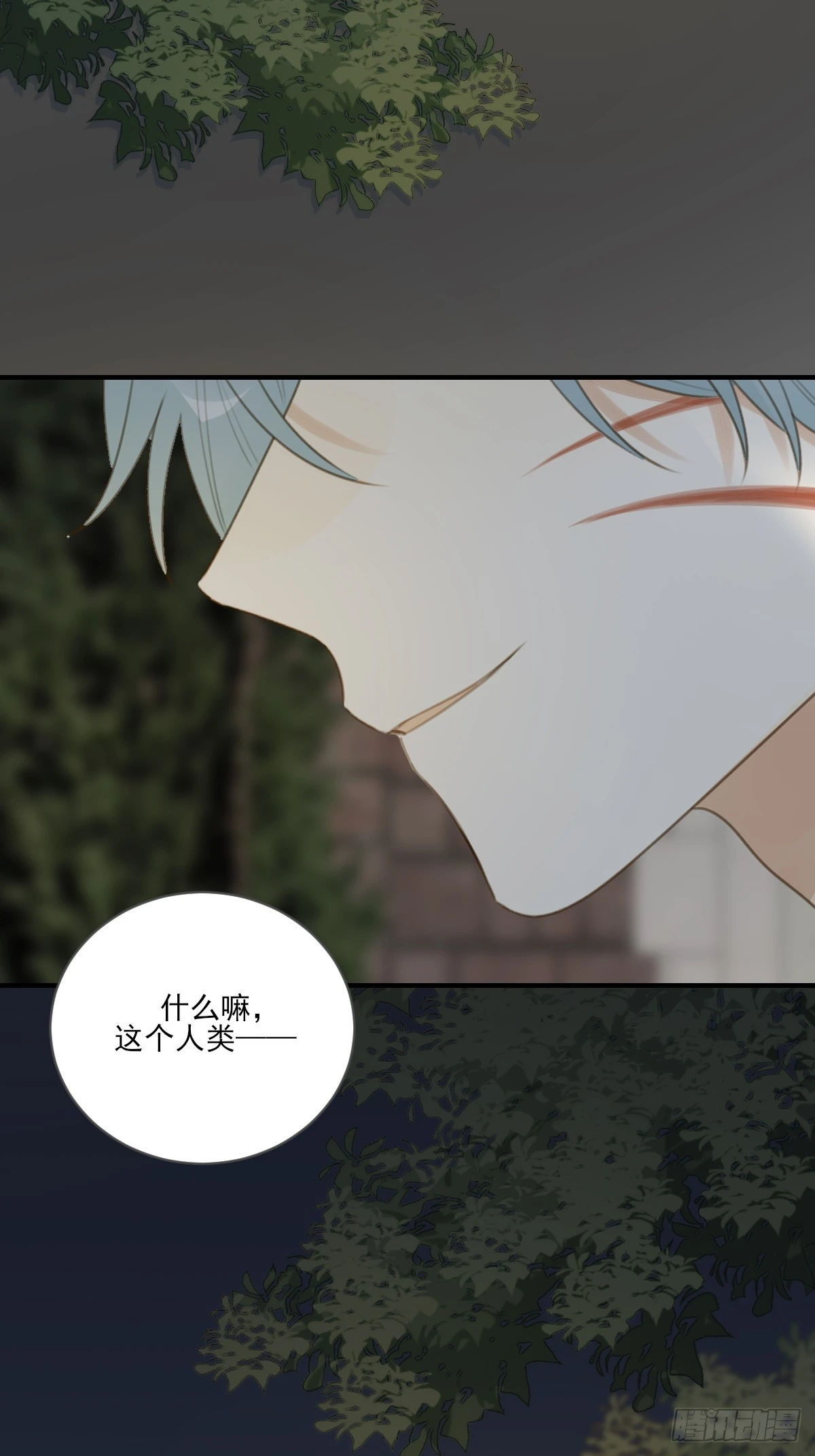 半妖青铭初现身33