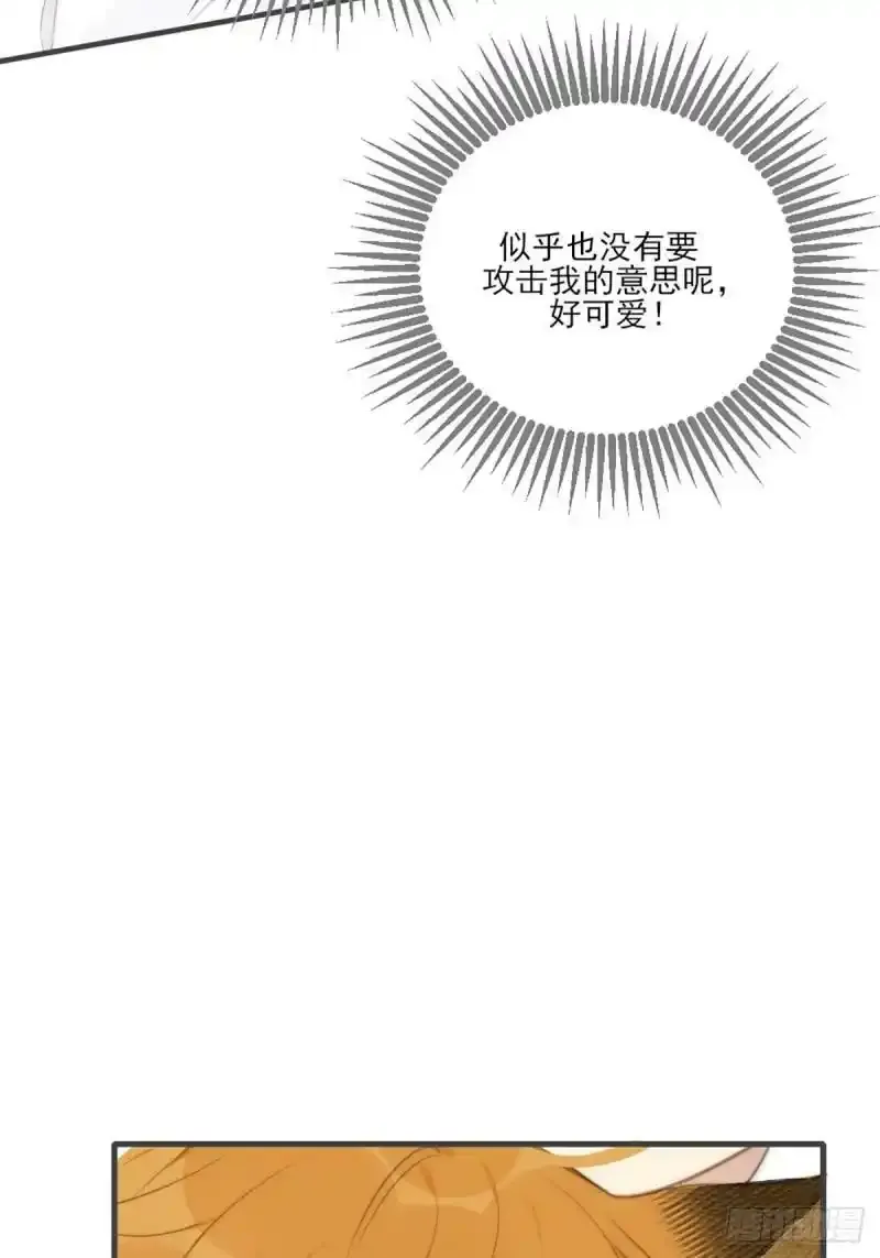 命运般地相遇了152