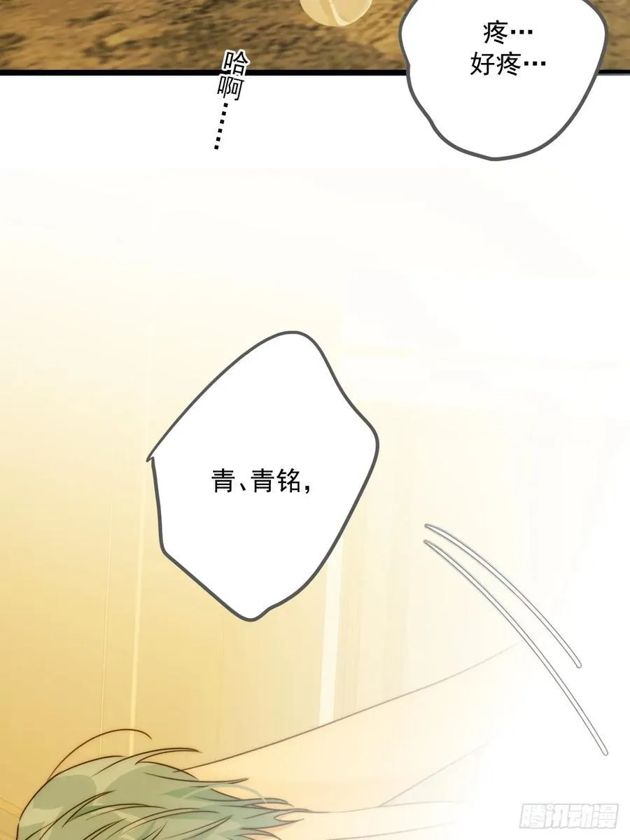 激情之夜1