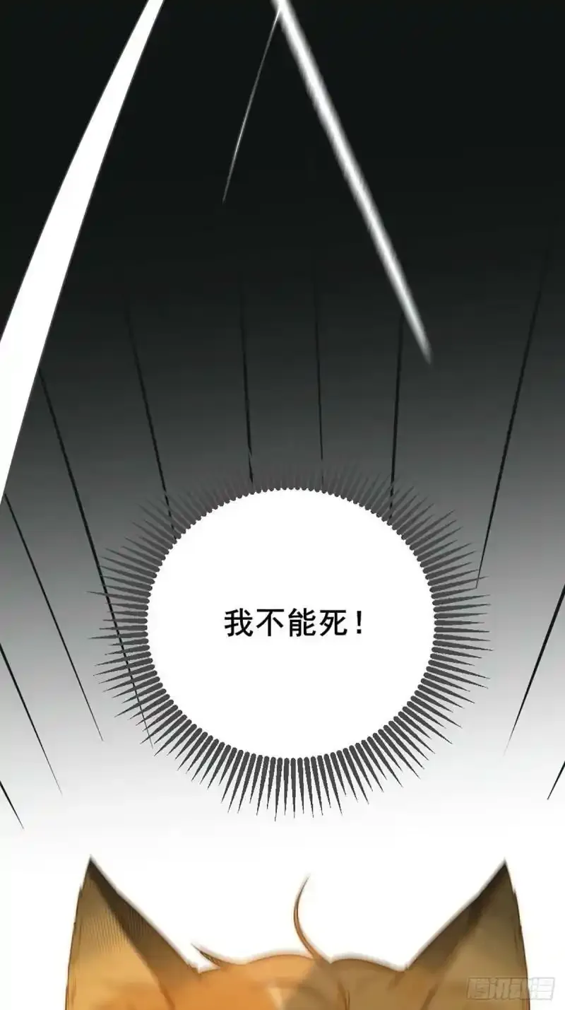命运般地相遇了6
