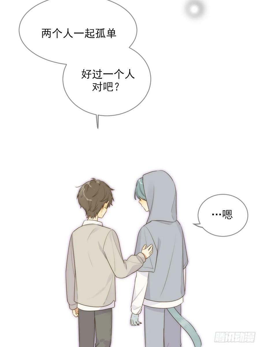 失败的狼22
