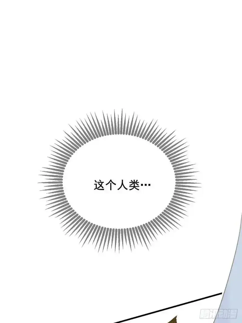 命运般地相遇了126