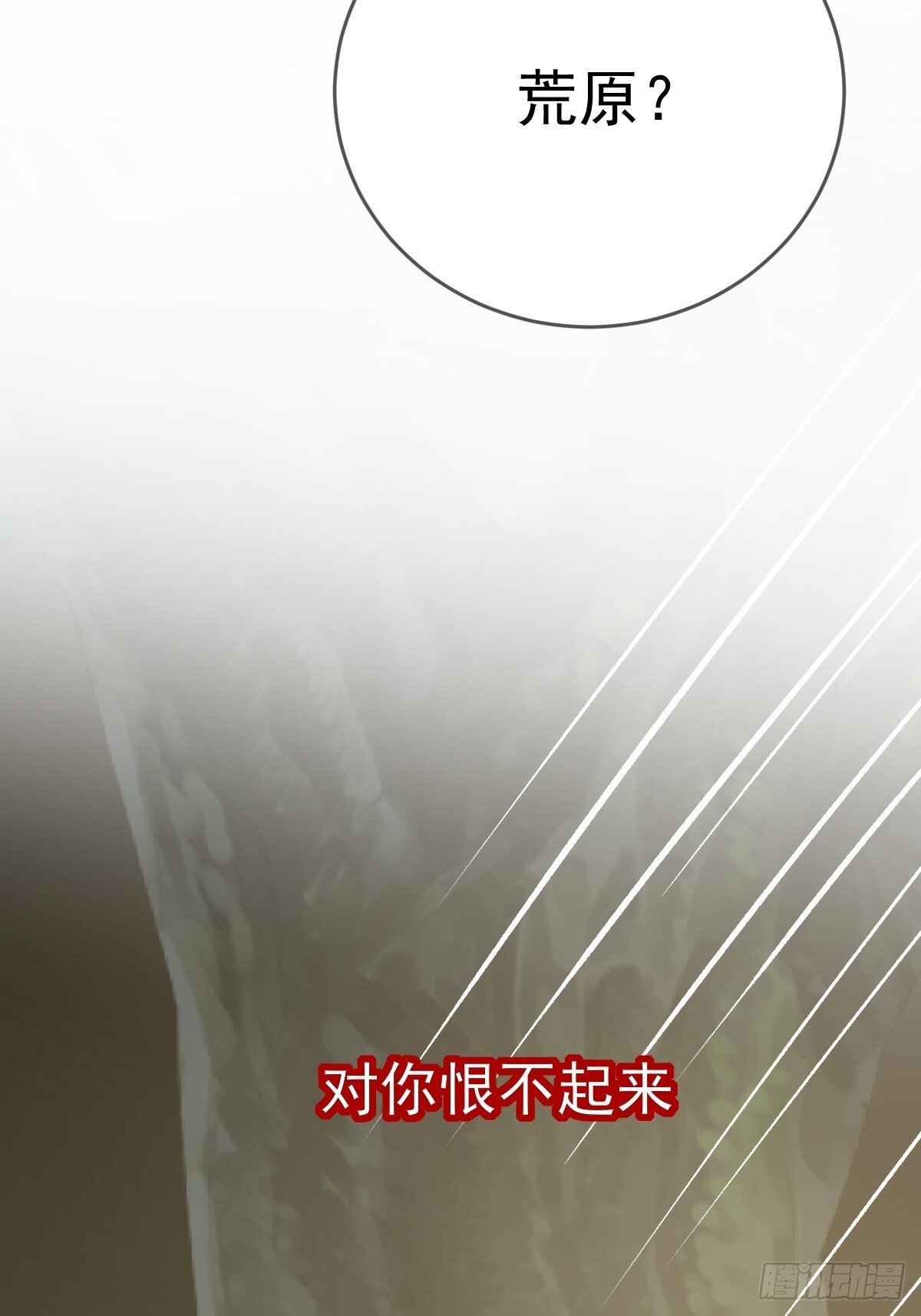 荒原的眼泪46