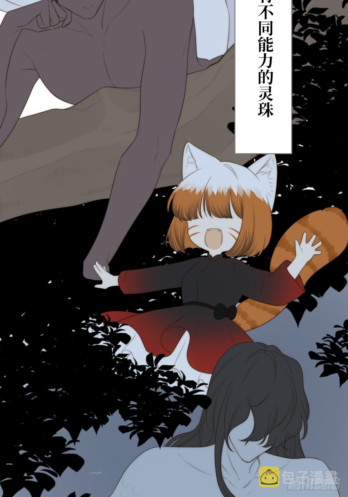 白夜坎坷的过去13