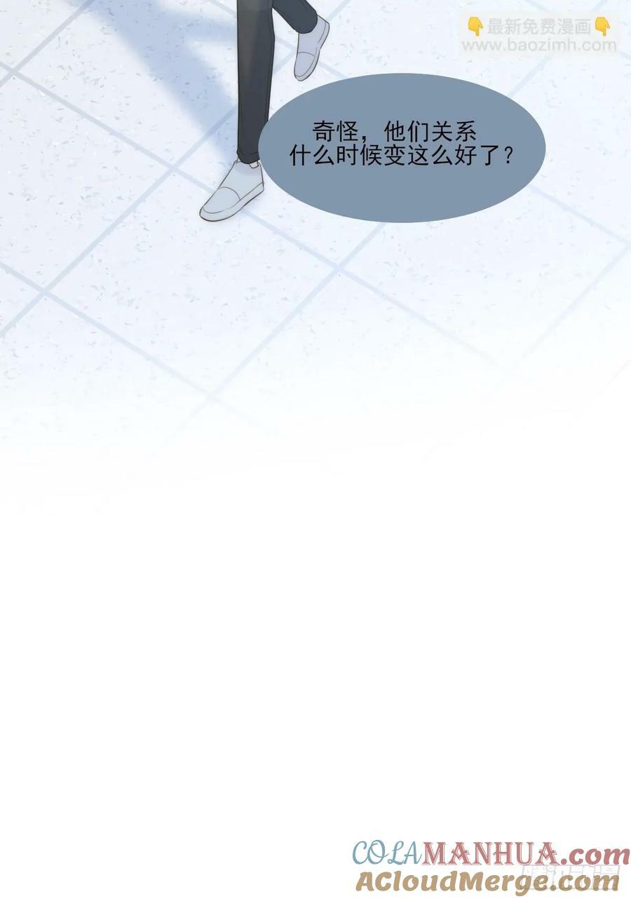 夜行性动物？27