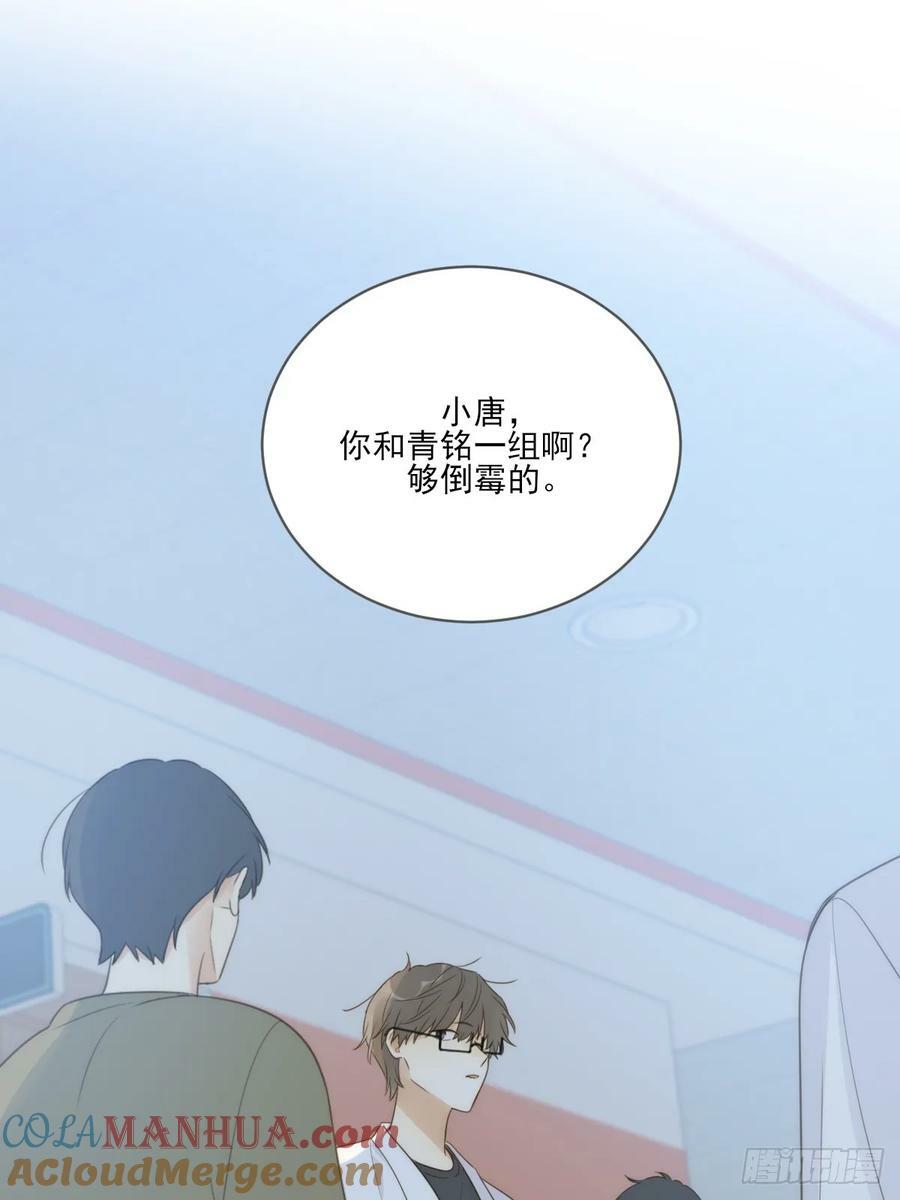 夜行性动物？12