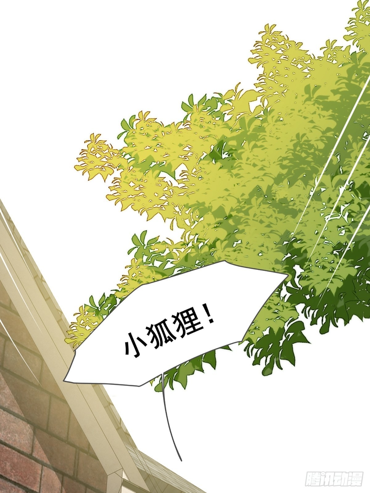失忆的狐狸41