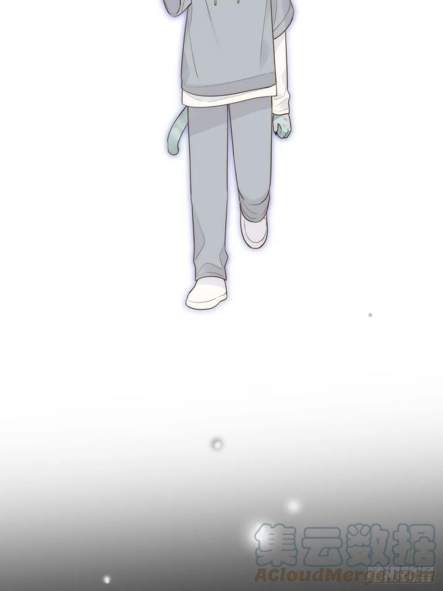 失败的狼18