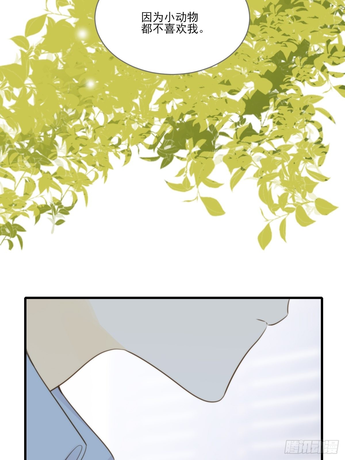 被治愈的心44