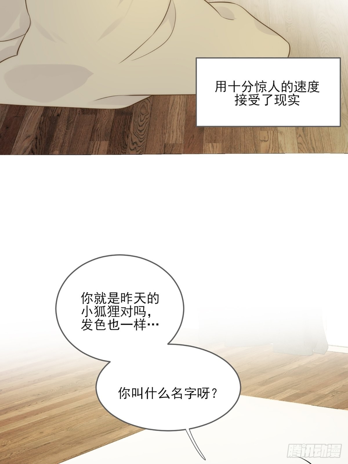 失忆的狐狸20
