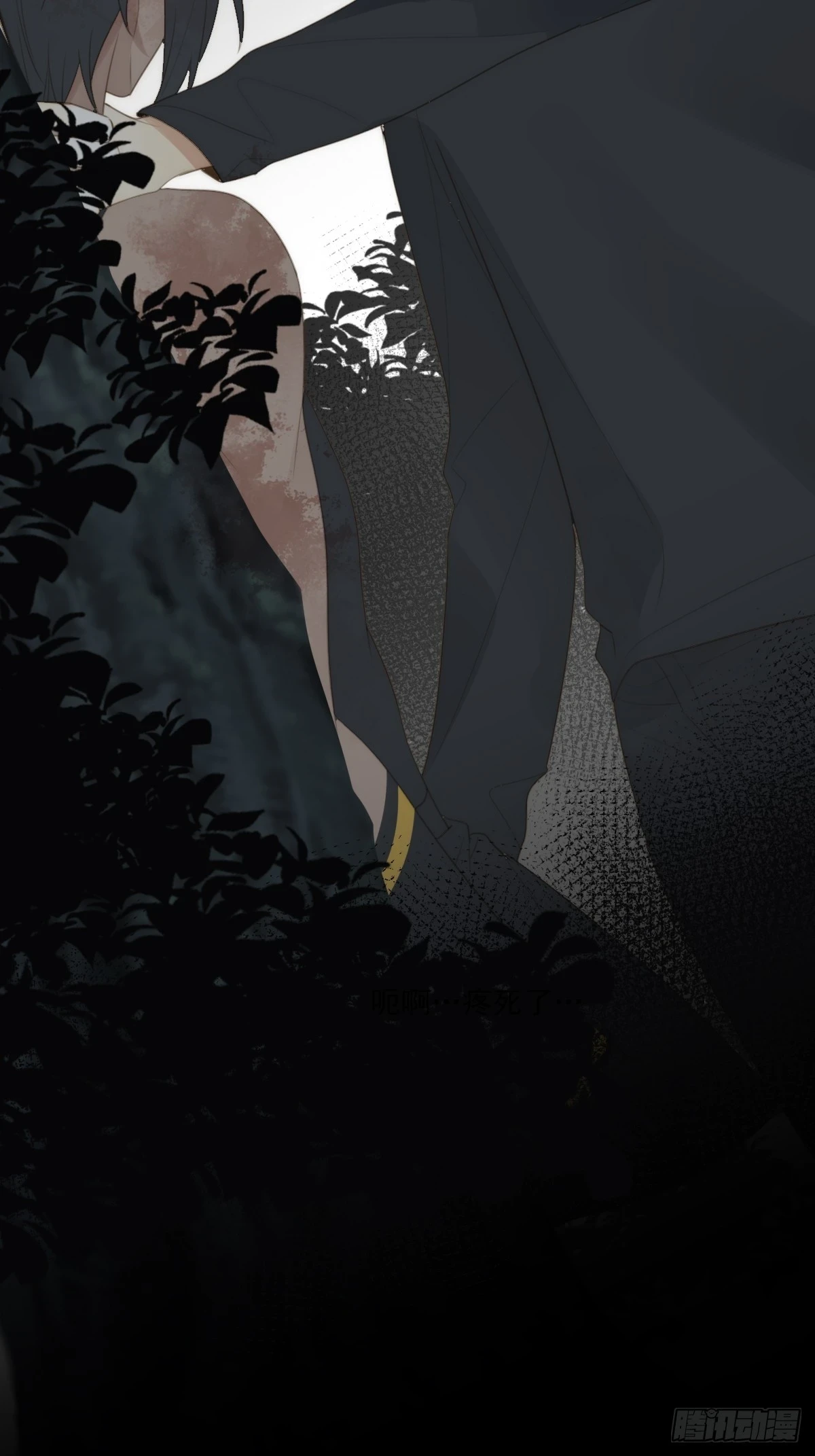 记忆苏醒，白夜回归37