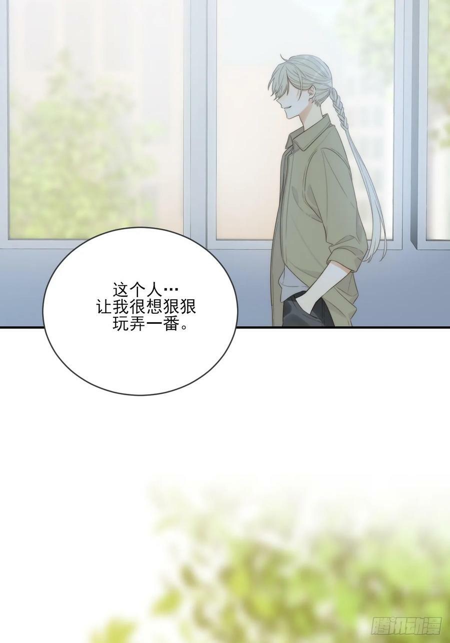 夜行性动物？46
