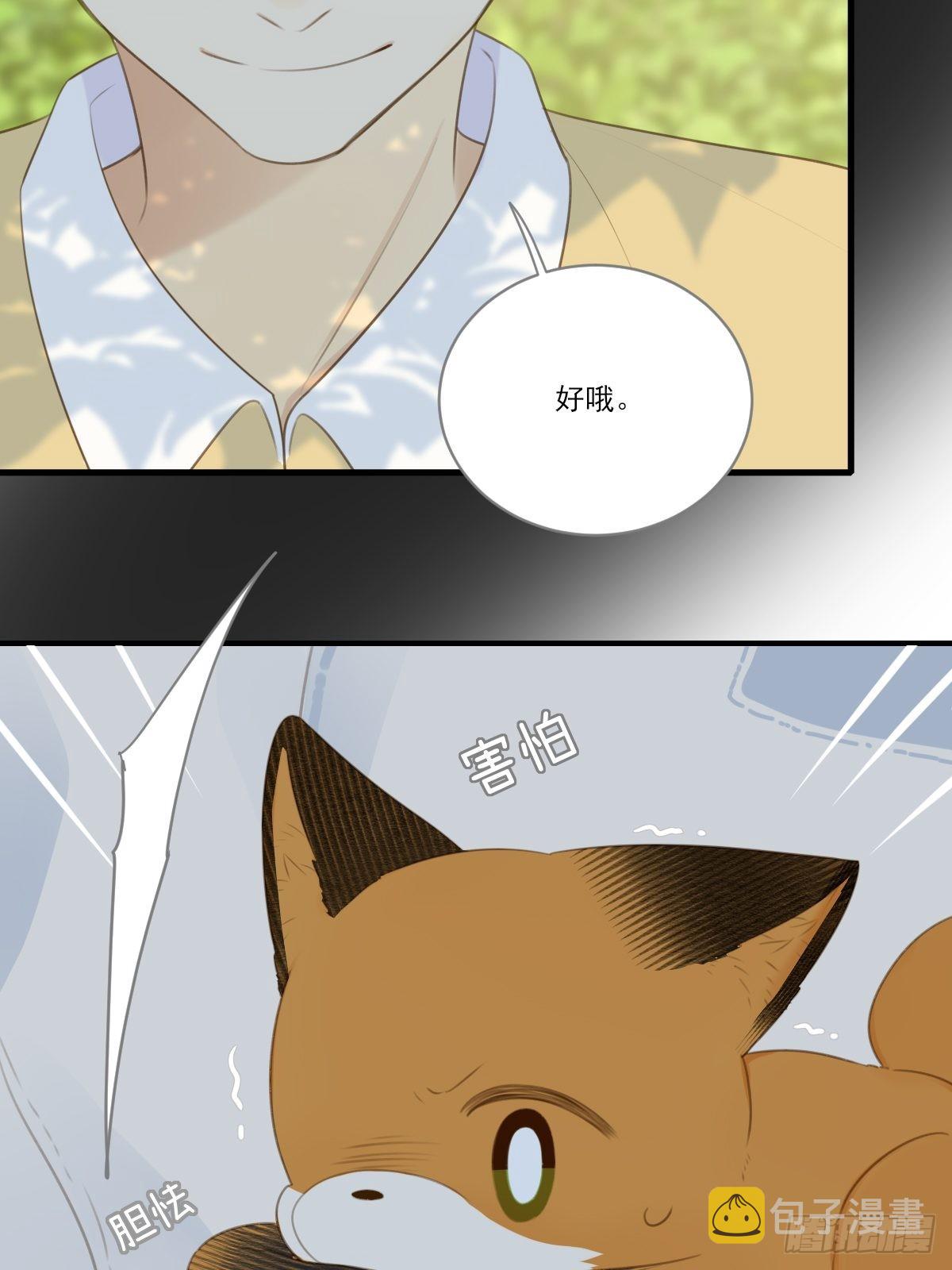 白夜坎坷的过去53
