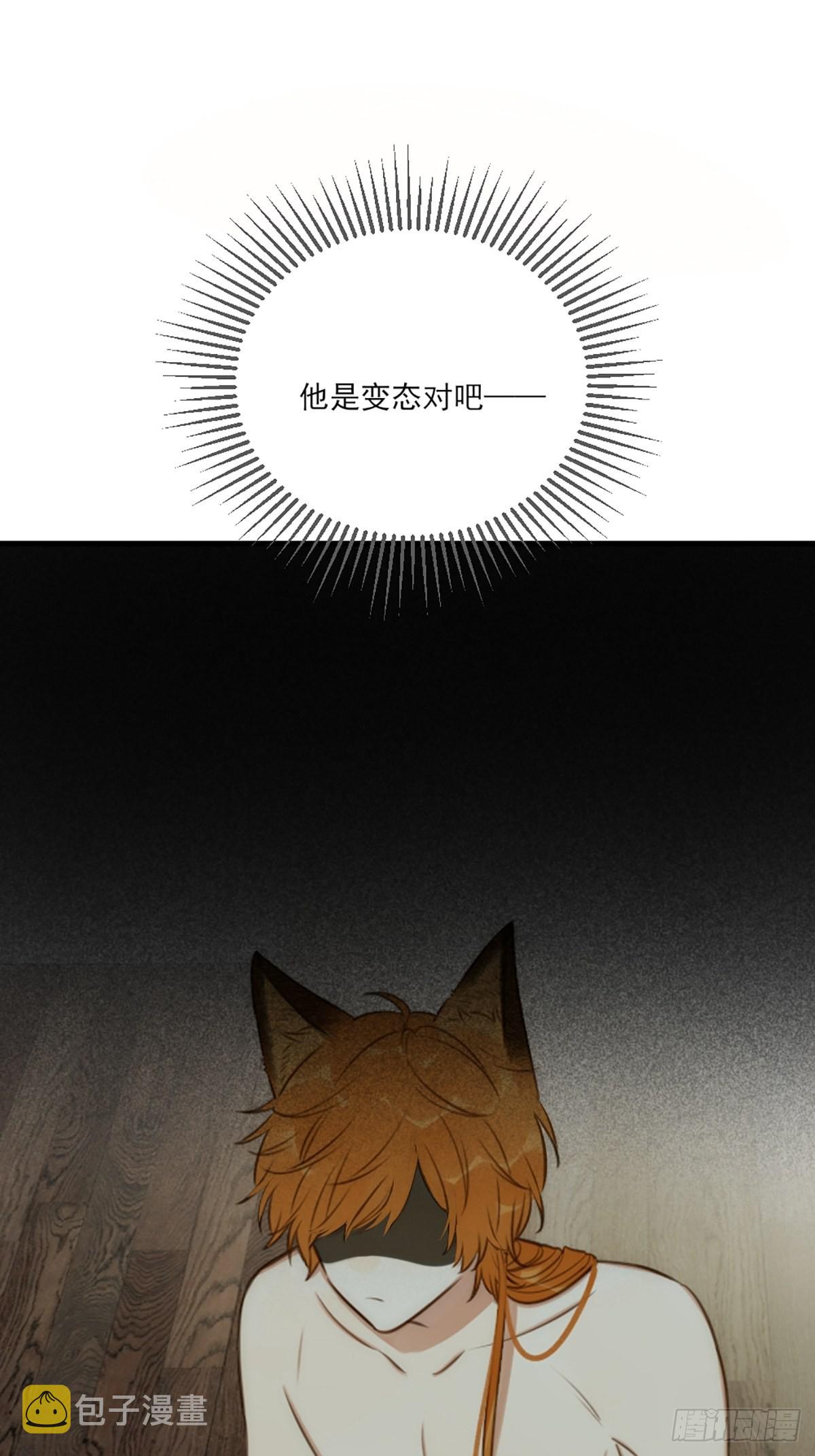 失忆的狐狸11