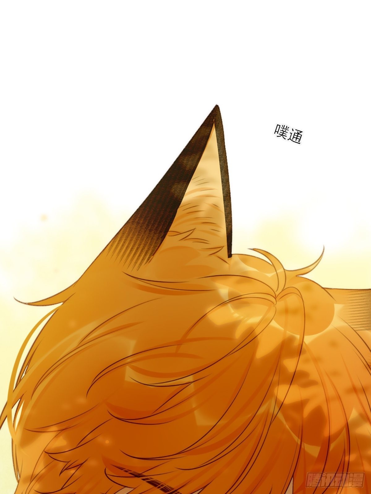 失忆的狐狸61
