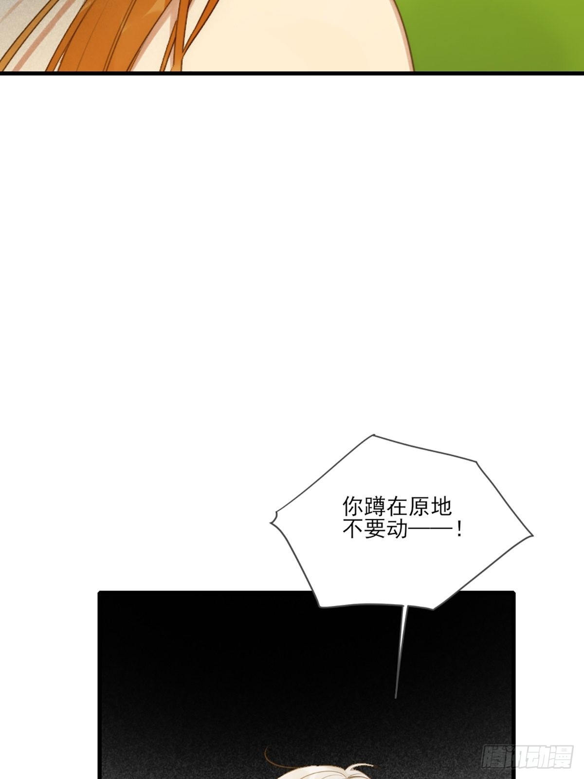 失忆的狐狸46